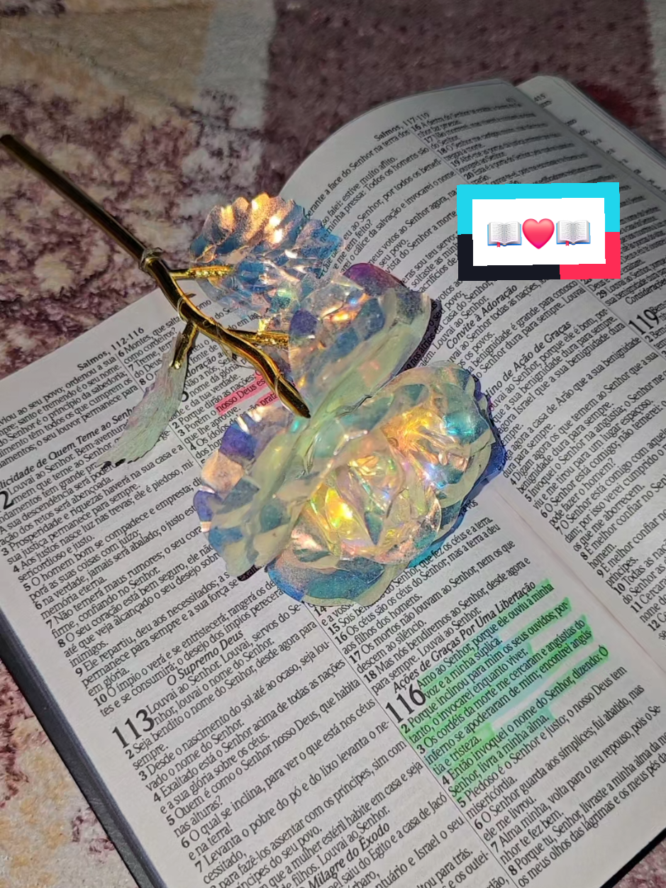 Receba essa palavra com todo seu coração e fé, e tudo se realizar conforme a Sua vontade 📖 #versiculosdodia #palavrasdedeus #bibliasagrada #versiculos #deusefiel #biblia #versiculosdanoite #fycristão 