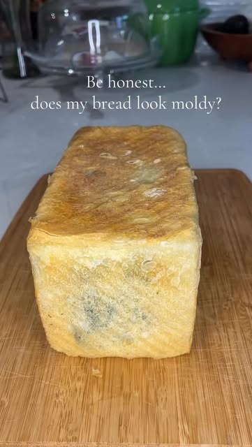 Can’t leave you guys without some moldy looking bread for too long!
#sourdough #bread #homemade #breadmaking #baking