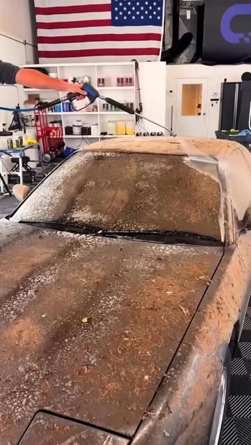 ASMR das gringa 

#esteticaautomotiva #cardetailing #detailingbrasil #detalhamentoautomotivo #asmr