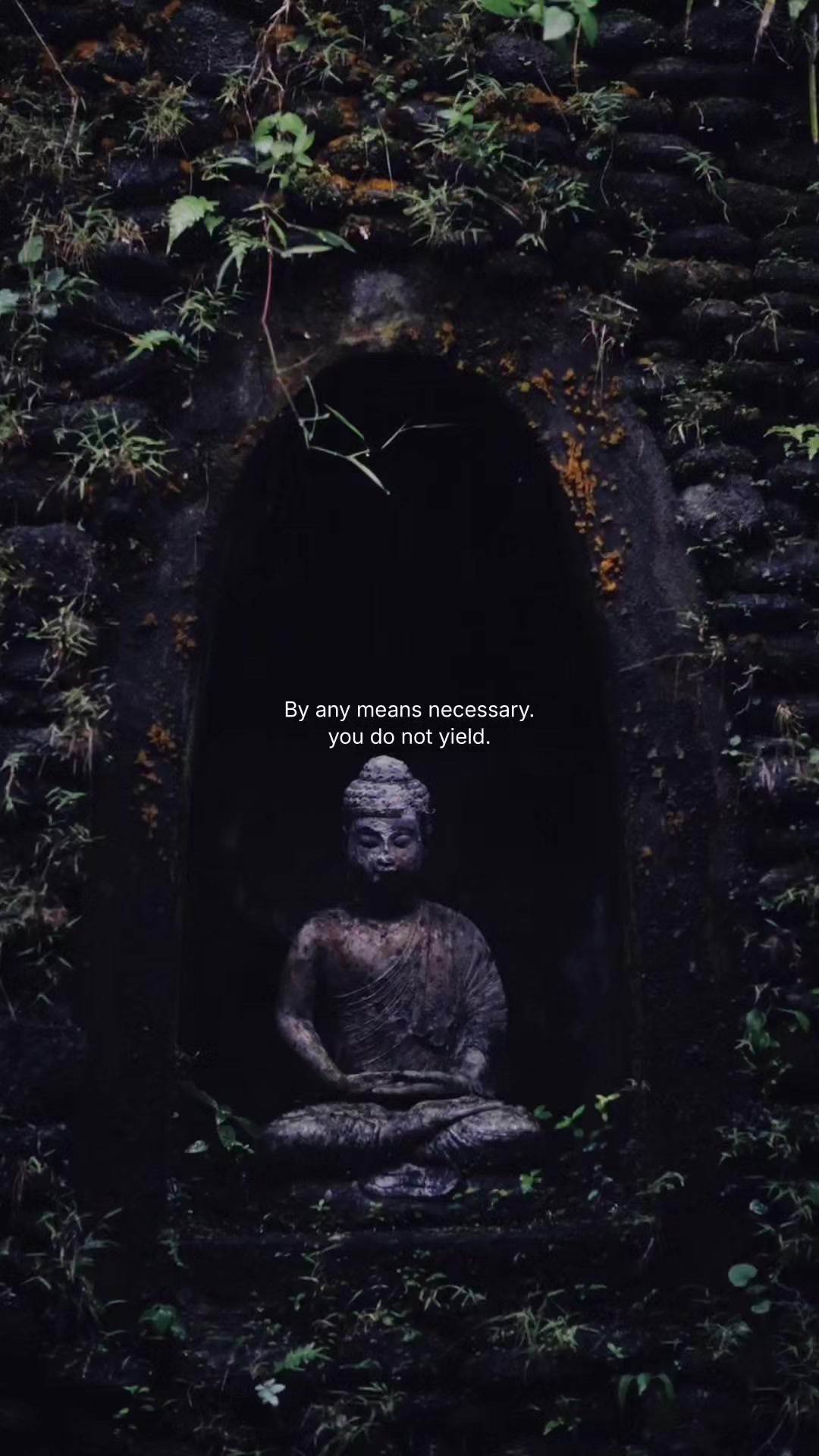 ...  #philosophytiktok #stoicism #selfimprovement #motivation #blowthisupforme 