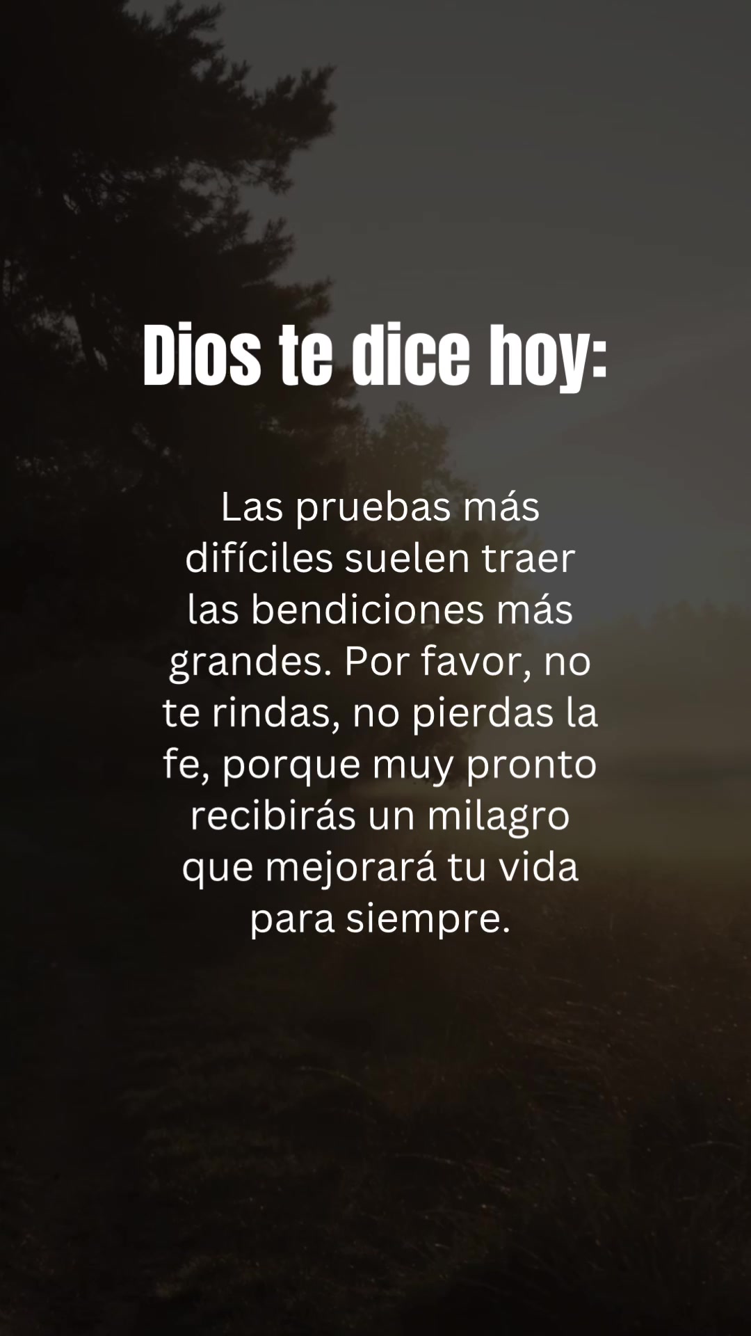 AMÉN 🙏🏻😇 Dios Te Bendiga, Síguenos Para Más Contenido Cristiano ✝️ #diostedicehoy #graciasdios #mensajesdedios 