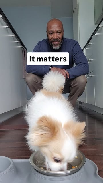 Most dog owners don’t realize this…
That slimy layer in your dog’s bowl isn’t just leftover food—it’s bacteria buildup.
Over time, it can contribute to upset stomachs, diarrhea, and even your dog not wanting to eat.
A quick rinse isn’t enough.
Wash their bowl with soap daily.
It’s a small habit that makes a big difference.
Be honest… are you rinsing or actually washing? 👀
#dogtips #doghealth #petcare #dogowners #dogsoftiktok dogadvice