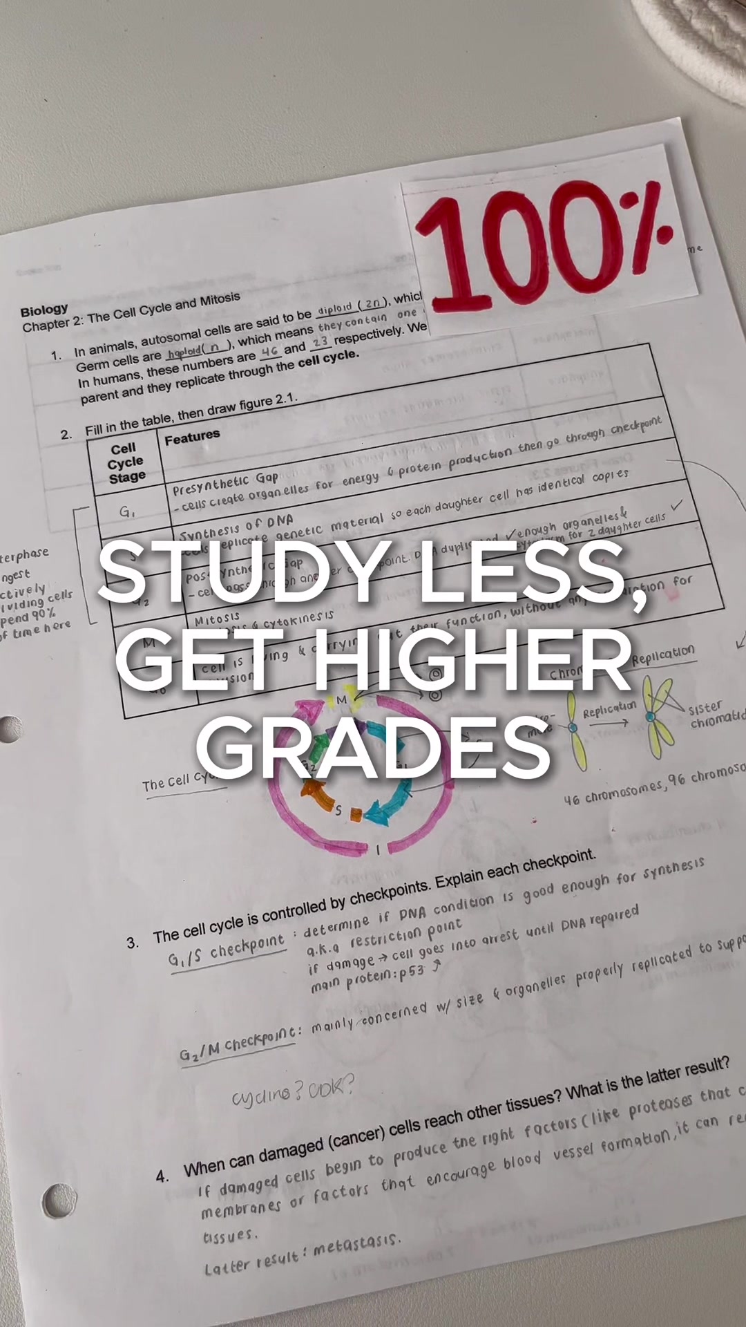 sometimes studying longer doesnt always mean higher grades…  #studytok #studytips #studyhacks #studymotivation #examtips