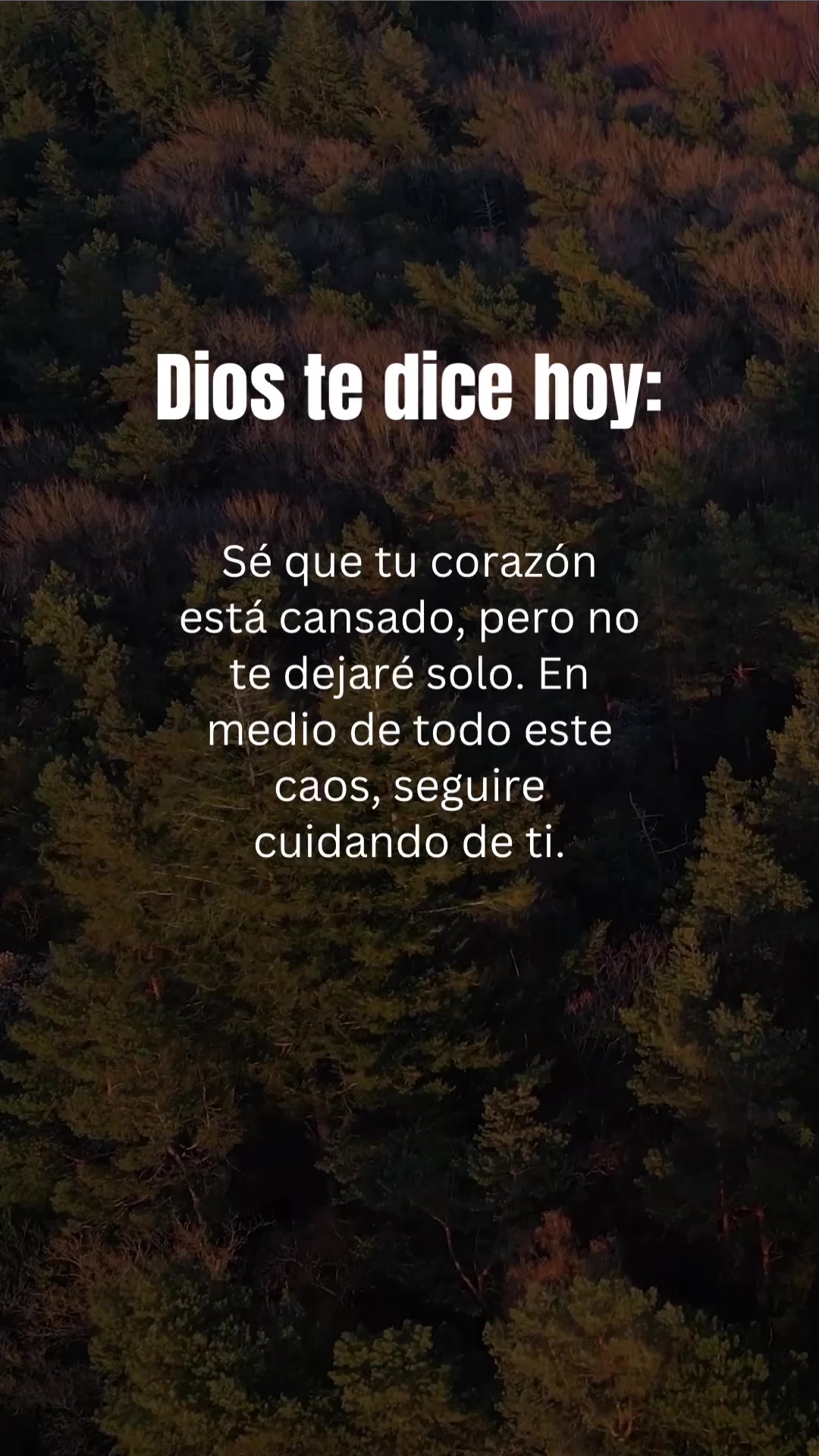 AMÉN 🙏🏻😇 Dios Te Bendiga, Síguenos Para Más Contenido Cristiano ✝️ #diostedicehoy #graciasdios #mensajesdedios 